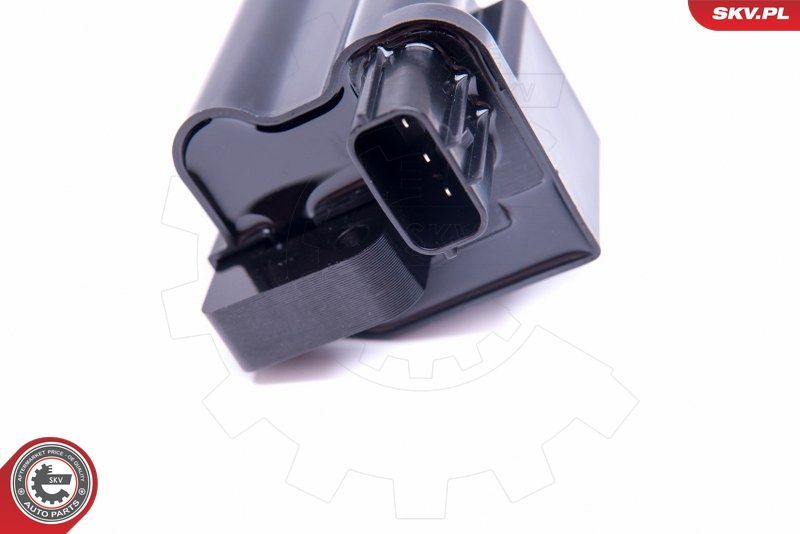 Ritė, uždegimas ESEN SKV 03SKV328