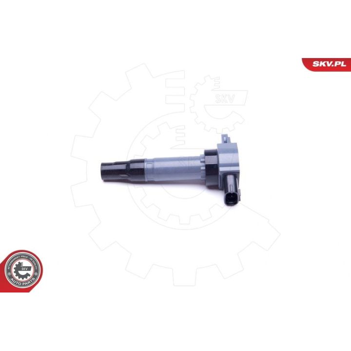 Ritė, uždegimas ESEN SKV 03SKV331