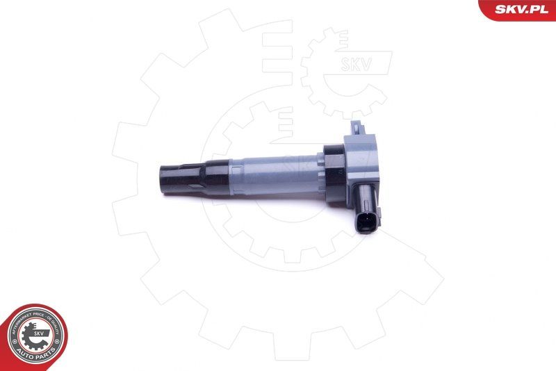 Ritė, uždegimas ESEN SKV 03SKV331