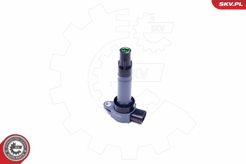 Ritė, uždegimas ESEN SKV 03SKV331