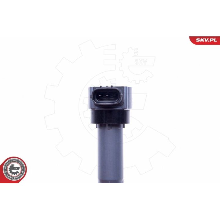 Ritė, uždegimas ESEN SKV 03SKV331