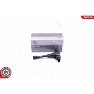 Ritė, uždegimas ESEN SKV 03SKV333