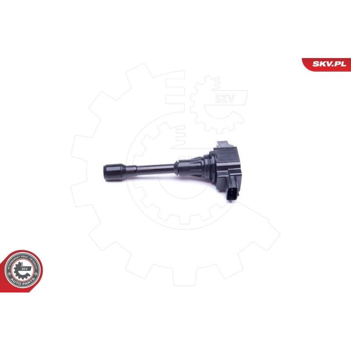 Ritė, uždegimas ESEN SKV 03SKV333