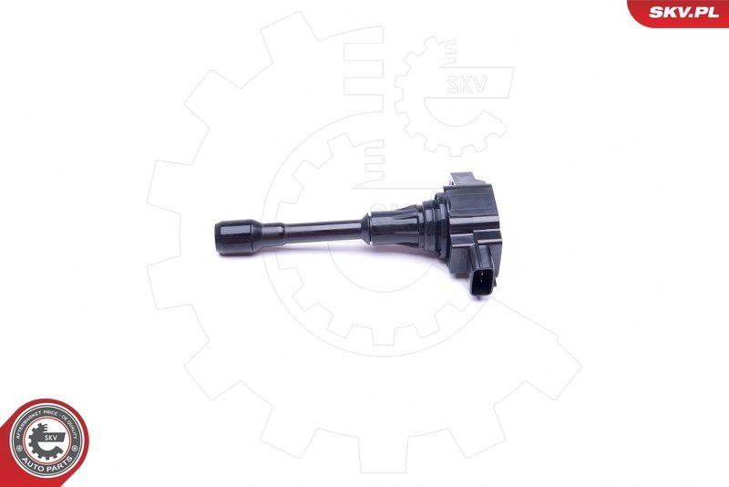 Ritė, uždegimas ESEN SKV 03SKV333