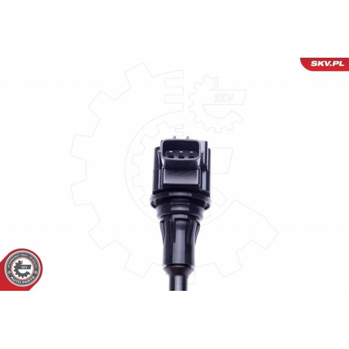 Ritė, uždegimas ESEN SKV 03SKV333