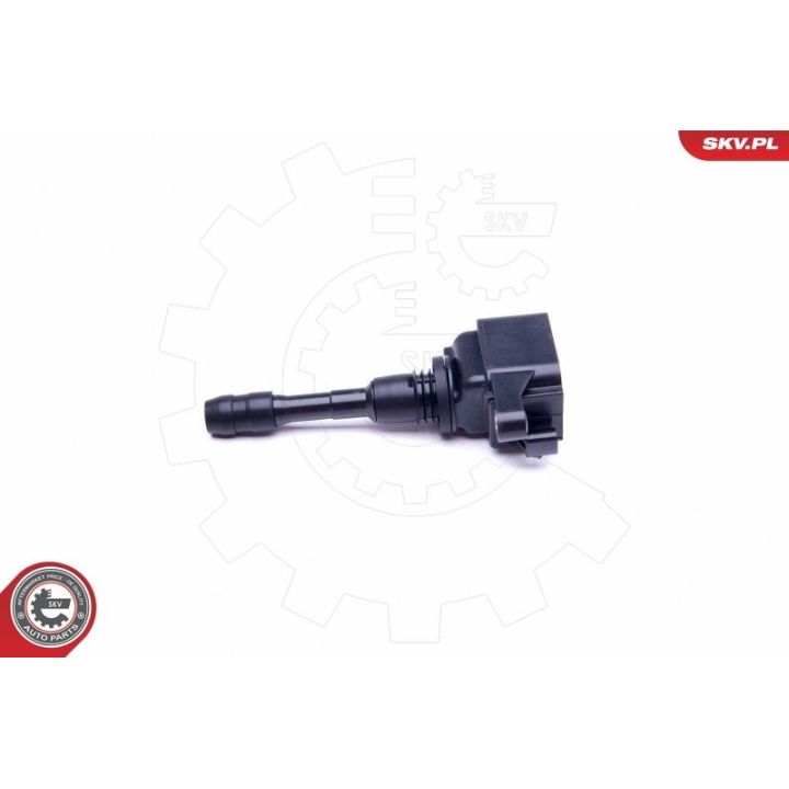 Ritė, uždegimas ESEN SKV 03SKV338