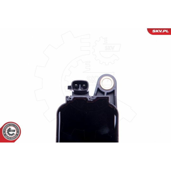 Ritė, uždegimas ESEN SKV 03SKV338