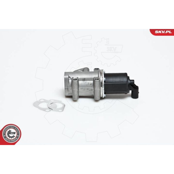 ERG vožtuvas ESEN SKV 14SKV006