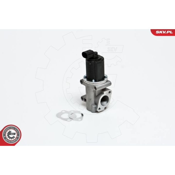 ERG vožtuvas ESEN SKV 14SKV006