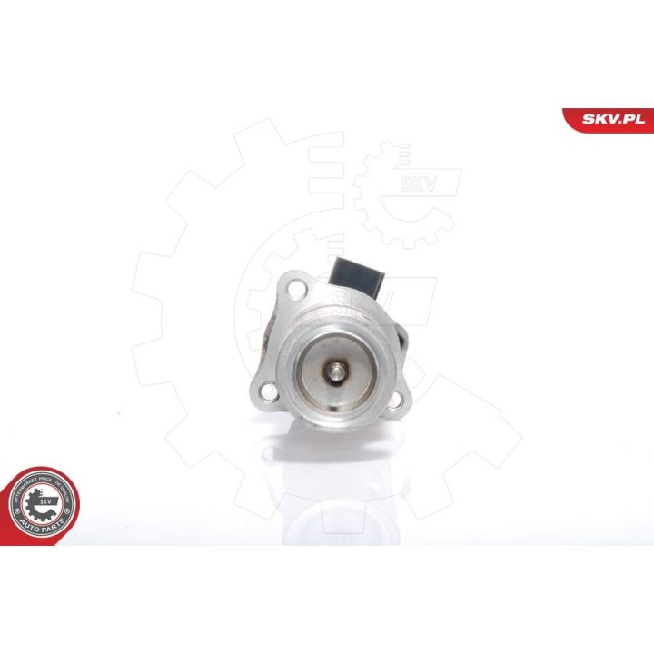 ERG vožtuvas ESEN SKV 14SKV009