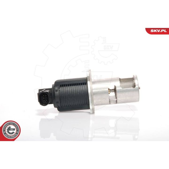 ERG vožtuvas ESEN SKV 14SKV009