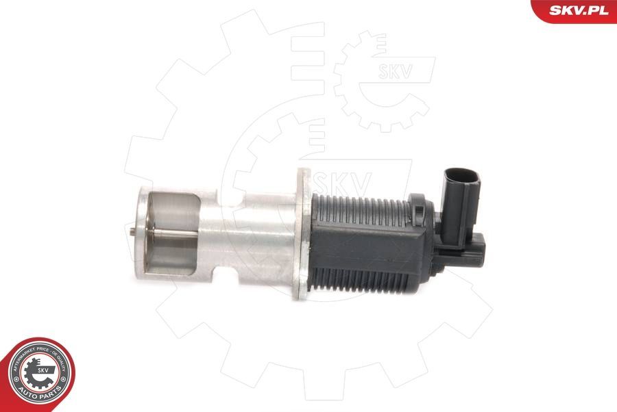 ERG vožtuvas ESEN SKV 14SKV009