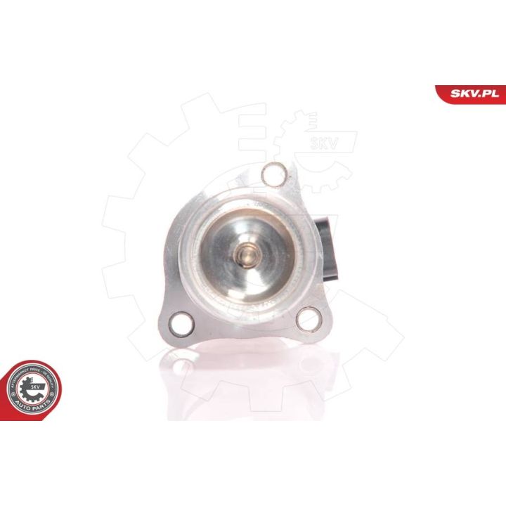 ERG vožtuvas ESEN SKV 14SKV010