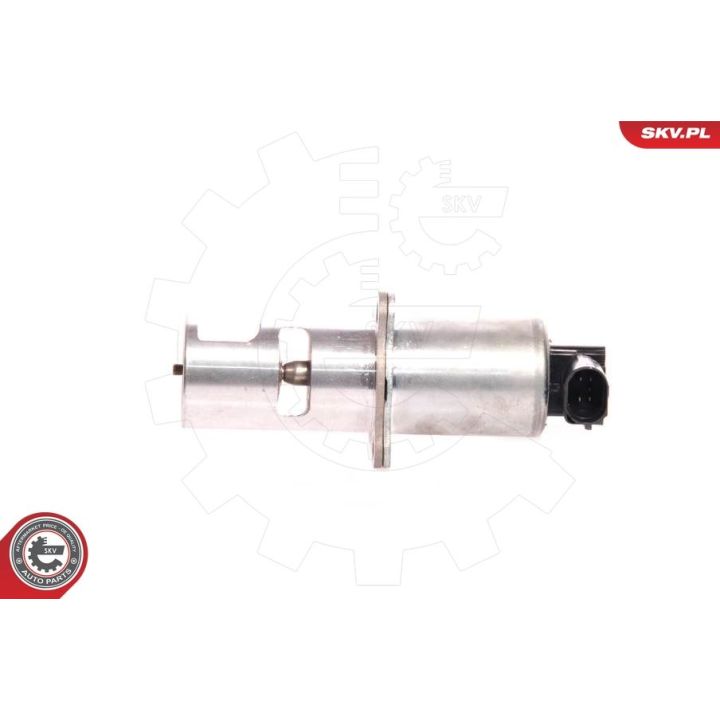 ERG vožtuvas ESEN SKV 14SKV010