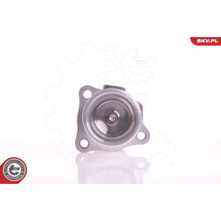 ERG vožtuvas ESEN SKV 14SKV011