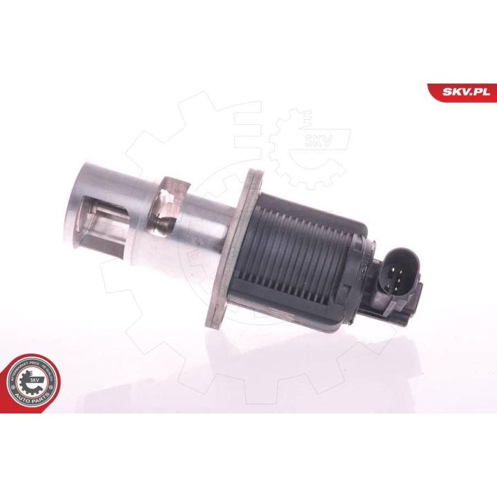 ERG vožtuvas ESEN SKV 14SKV011