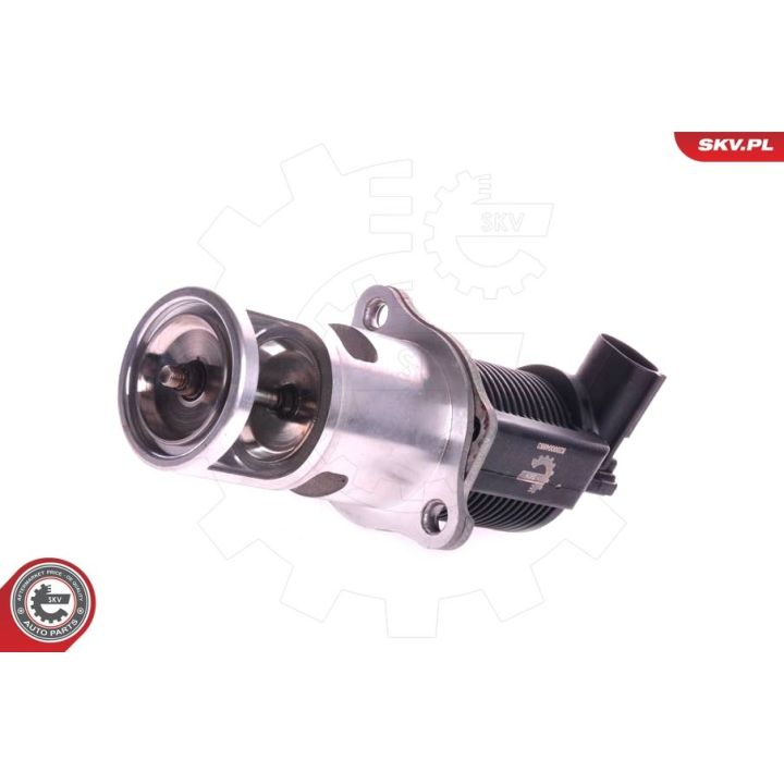 ERG vožtuvas ESEN SKV 14SKV011