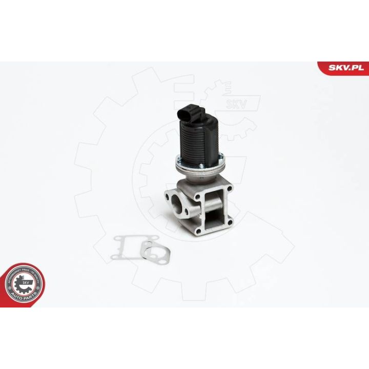 ERG vožtuvas ESEN SKV 14SKV012