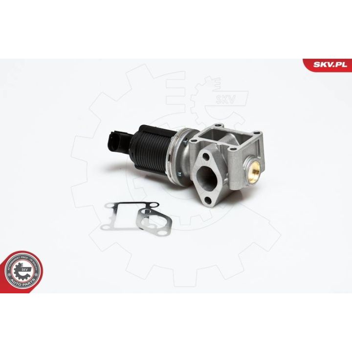 ERG vožtuvas ESEN SKV 14SKV012