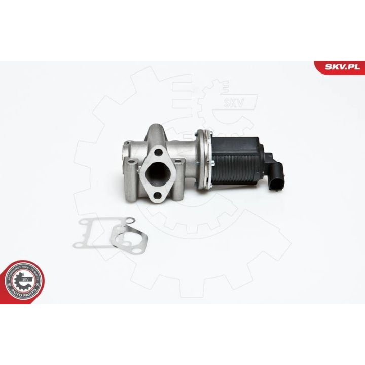 ERG vožtuvas ESEN SKV 14SKV012