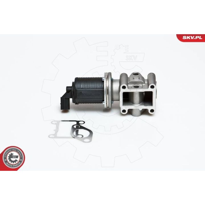 ERG vožtuvas ESEN SKV 14SKV012