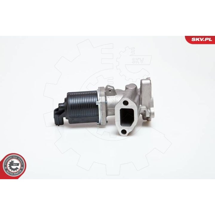 ERG vožtuvas ESEN SKV 14SKV014