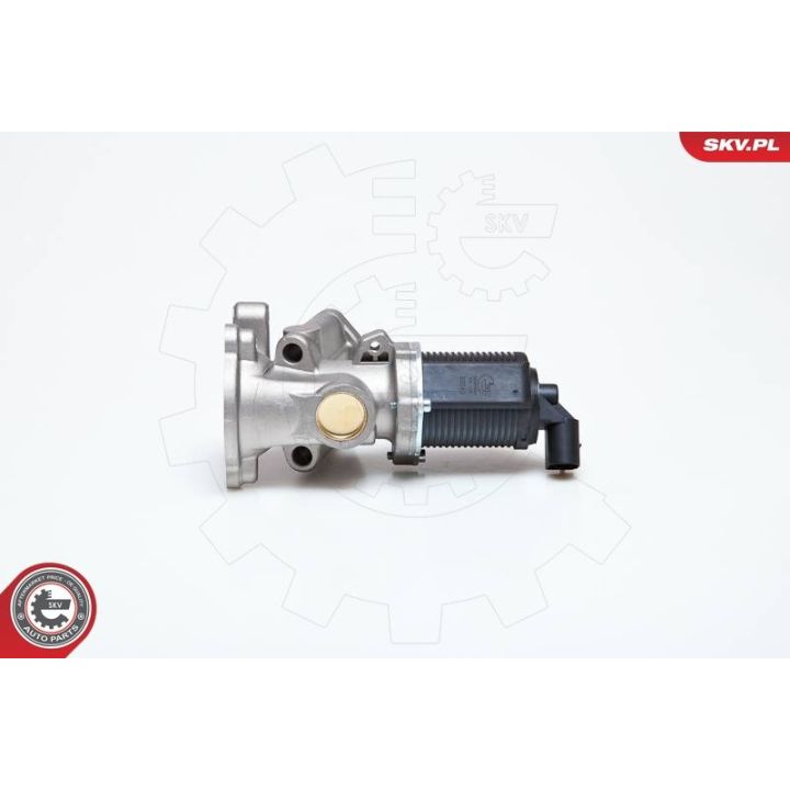 ERG vožtuvas ESEN SKV 14SKV014