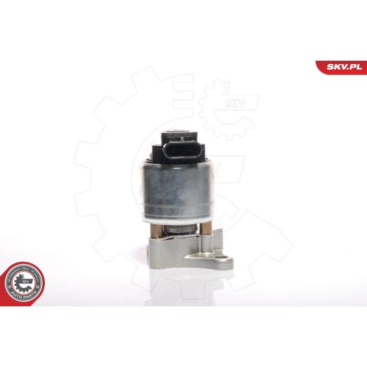 ERG vožtuvas ESEN SKV 14SKV017