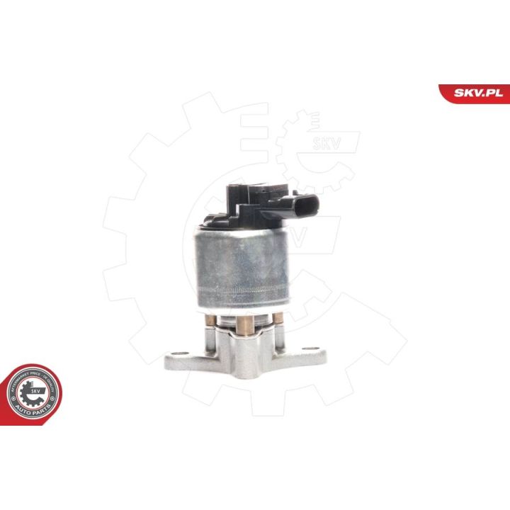 ERG vožtuvas ESEN SKV 14SKV017