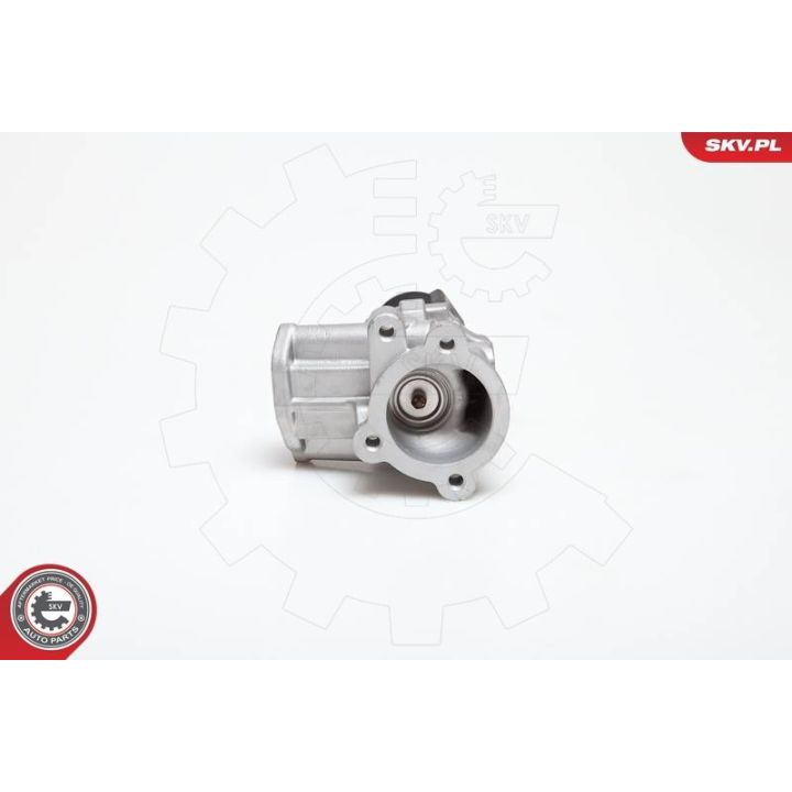 ERG vožtuvas ESEN SKV 14SKV031