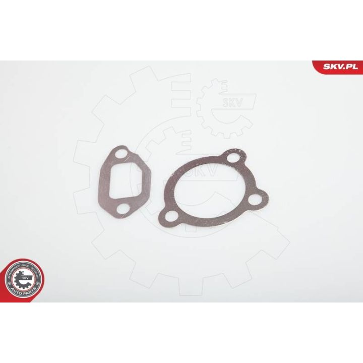 ERG vožtuvas ESEN SKV 14SKV031