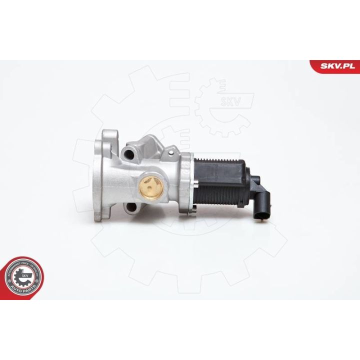 ERG vožtuvas ESEN SKV 14SKV031