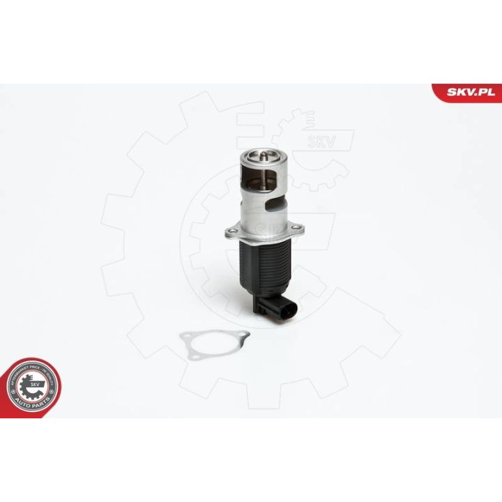 ERG vožtuvas ESEN SKV 14SKV032