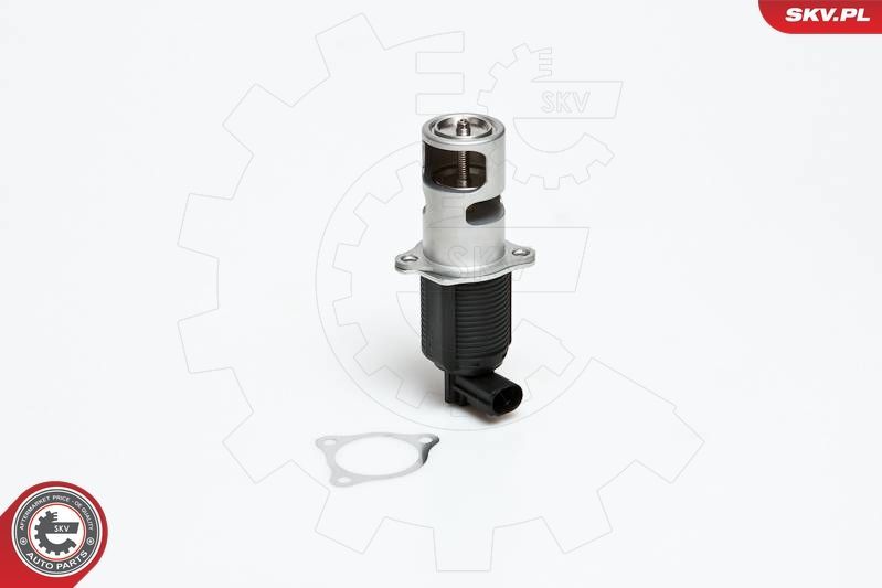 ERG vožtuvas ESEN SKV 14SKV032