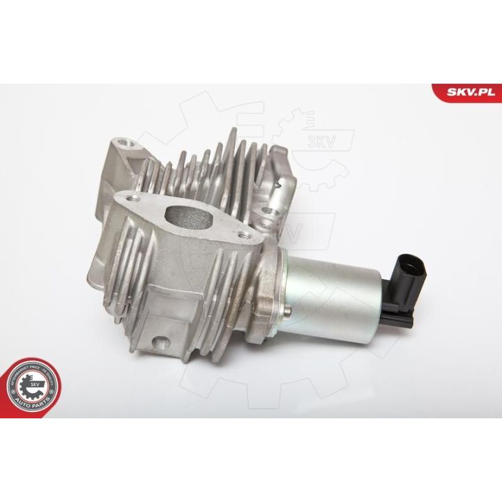 ERG vožtuvas ESEN SKV 14SKV036