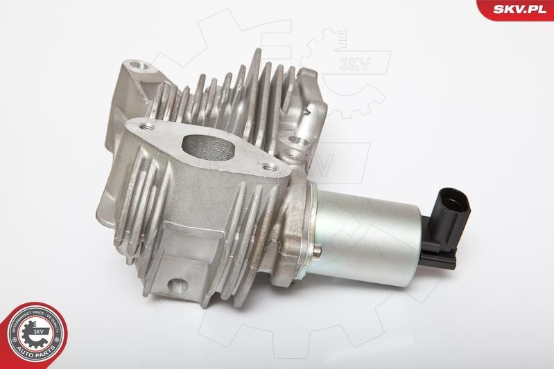 ERG vožtuvas ESEN SKV 14SKV036