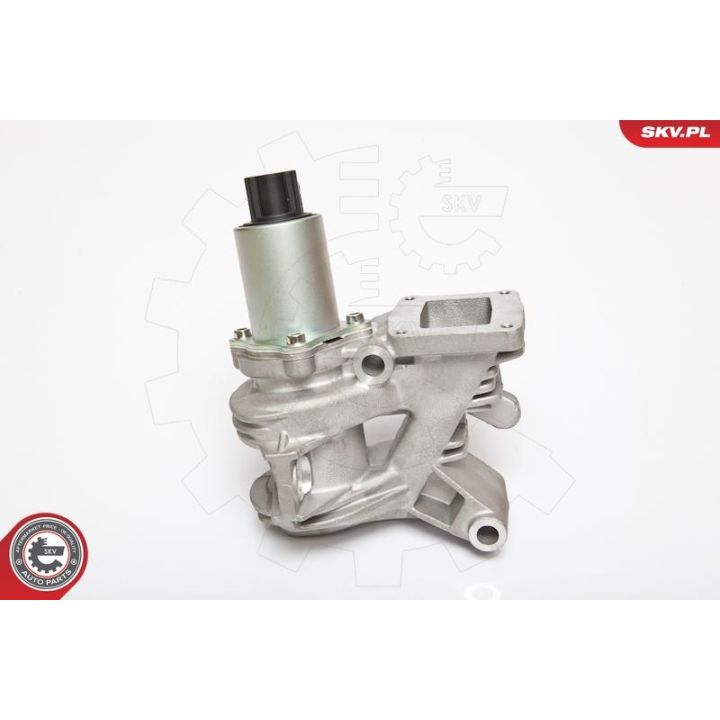 ERG vožtuvas ESEN SKV 14SKV036