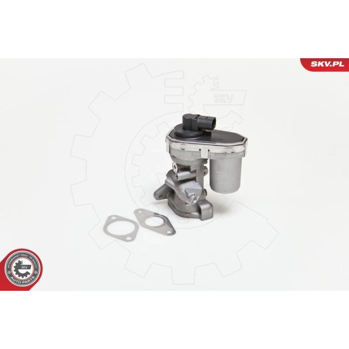 ERG vožtuvas ESEN SKV 14SKV038