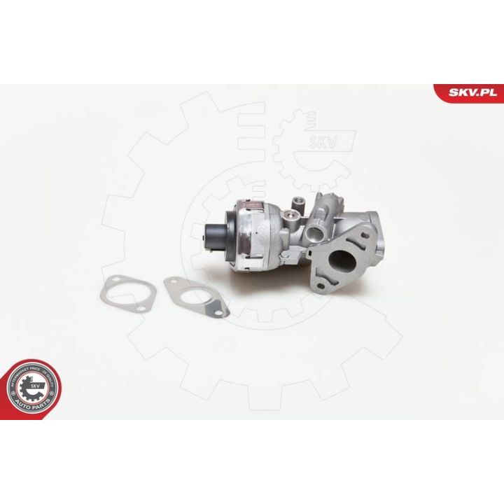 ERG vožtuvas ESEN SKV 14SKV038