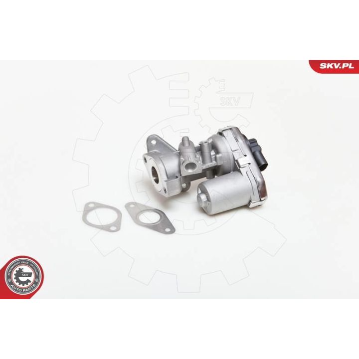 ERG vožtuvas ESEN SKV 14SKV038