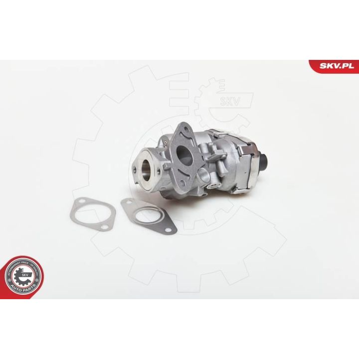 ERG vožtuvas ESEN SKV 14SKV038