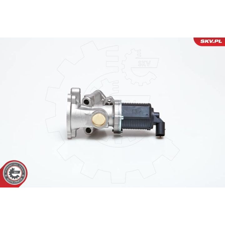 ERG vožtuvas ESEN SKV 14SKV040