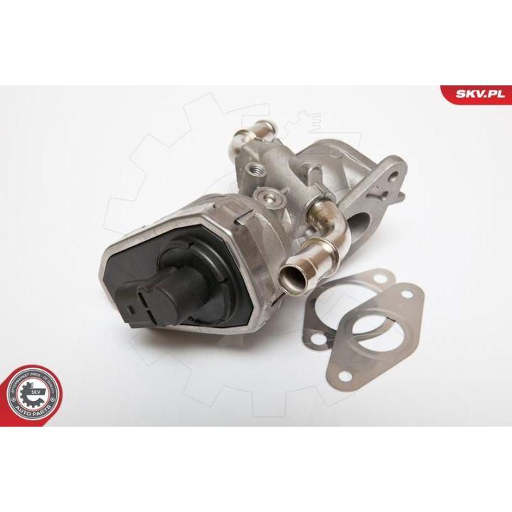 ERG vožtuvas ESEN SKV 14SKV044