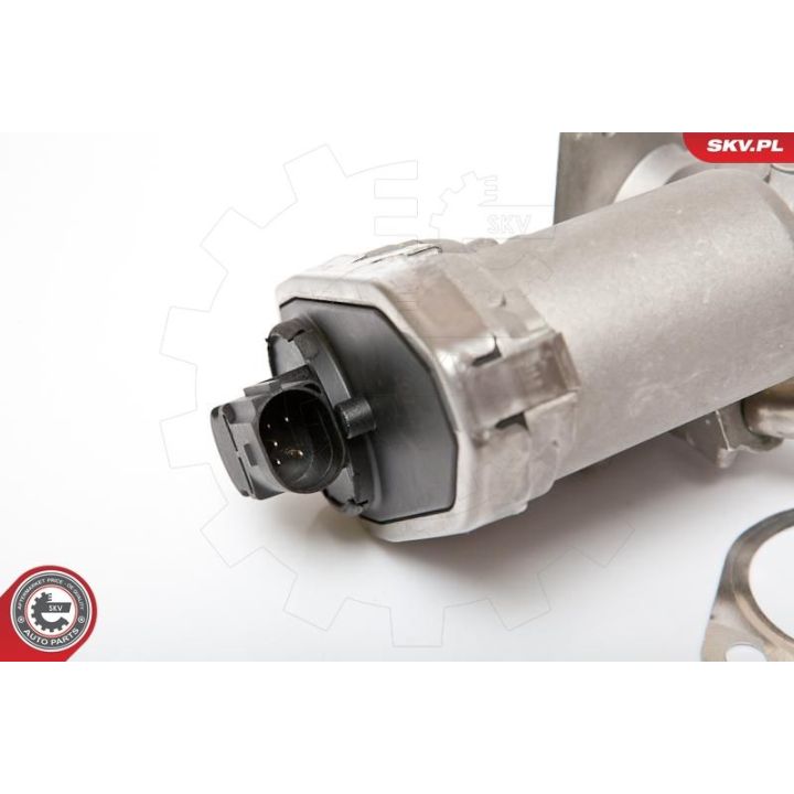 ERG vožtuvas ESEN SKV 14SKV044