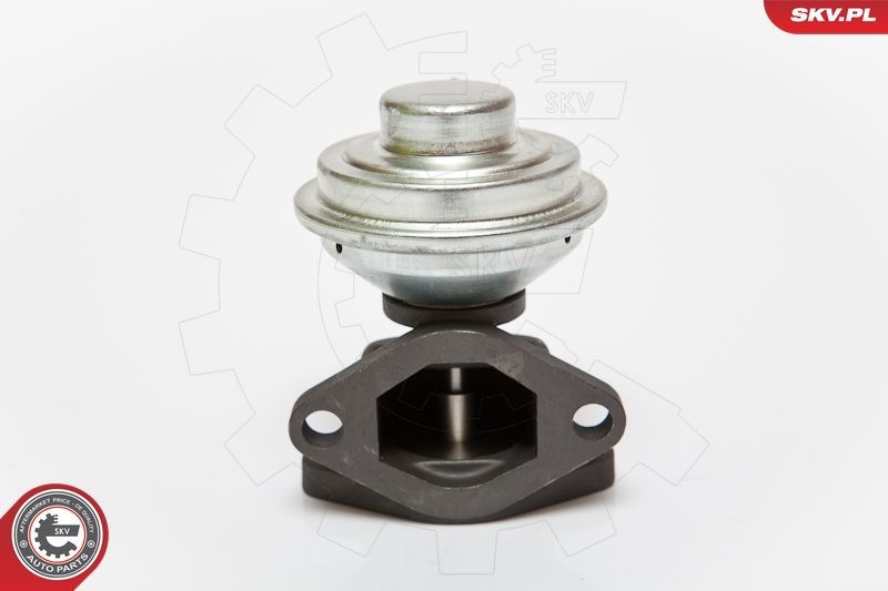 ERG vožtuvas ESEN SKV 14SKV052