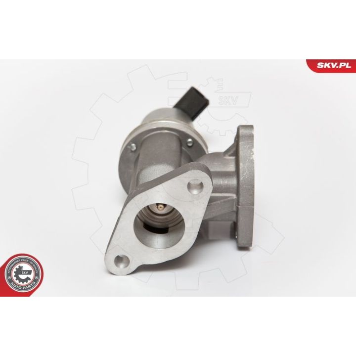 ERG vožtuvas ESEN SKV 14SKV054