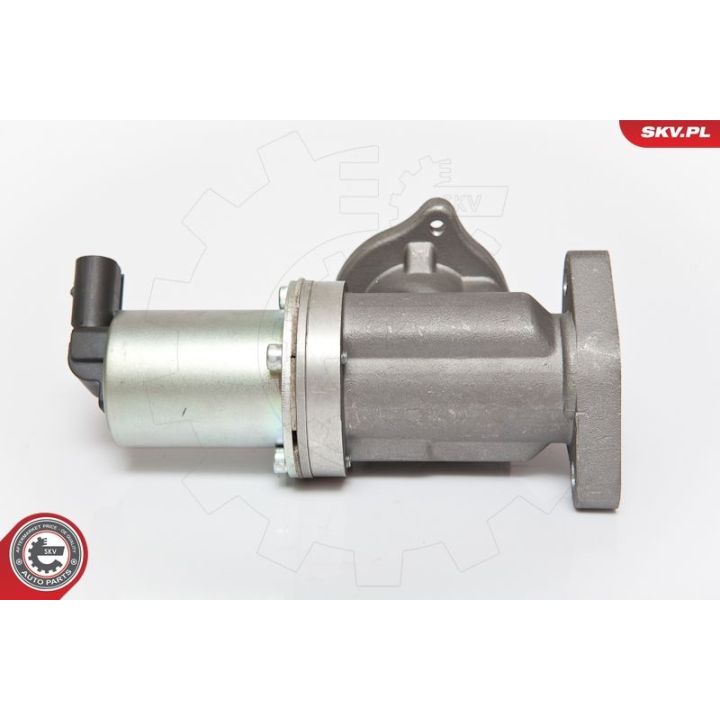 ERG vožtuvas ESEN SKV 14SKV054