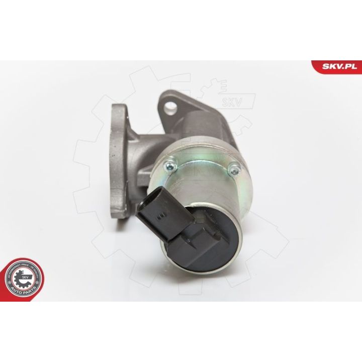 ERG vožtuvas ESEN SKV 14SKV054