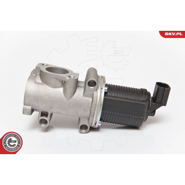 ERG vožtuvas ESEN SKV 14SKV055