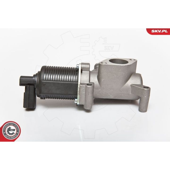 ERG vožtuvas ESEN SKV 14SKV064